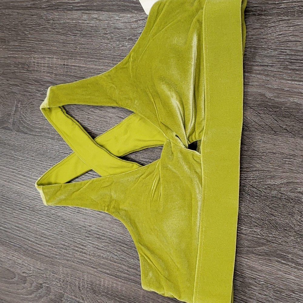 Fabletics velour sports bra